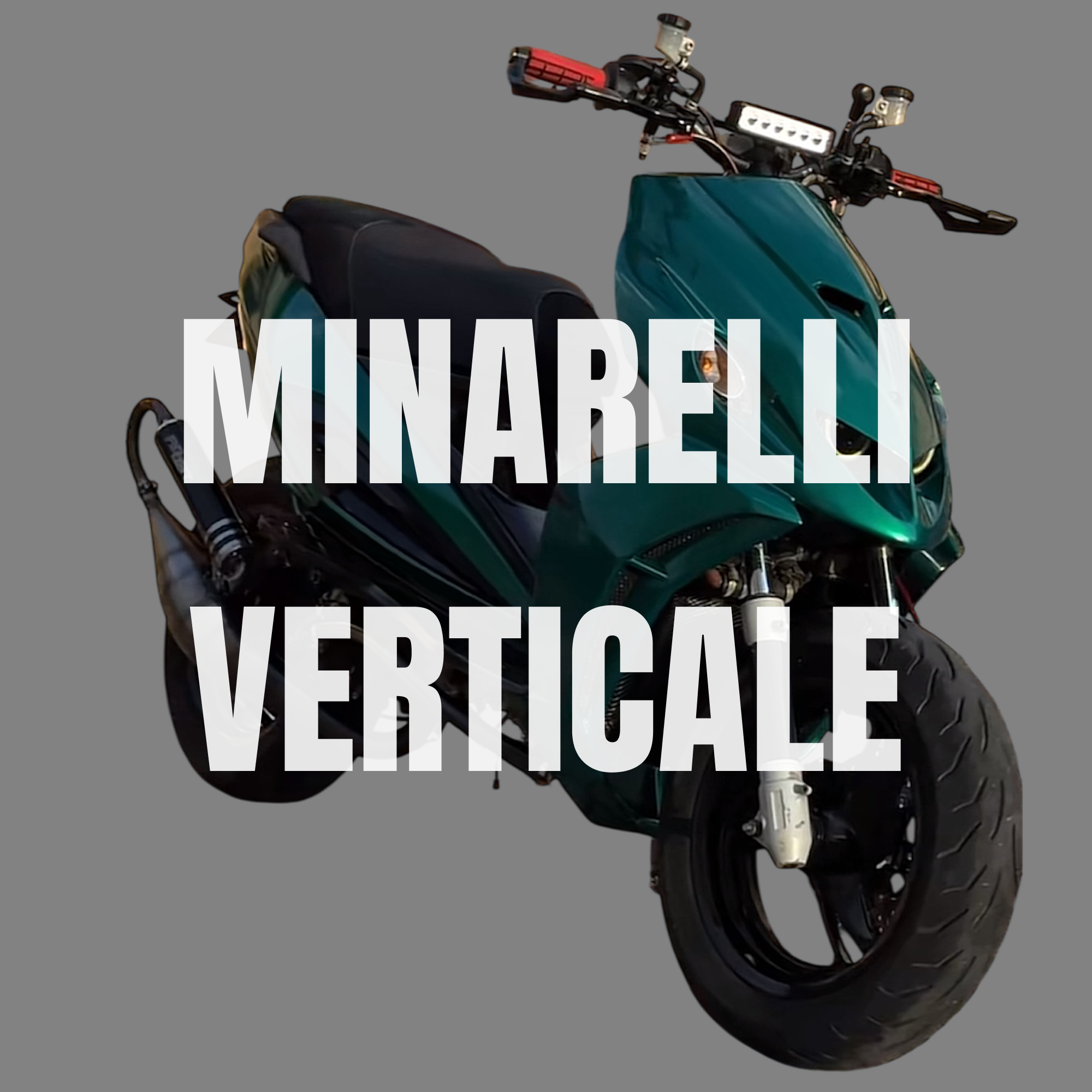 MINARELLI VERTICALE