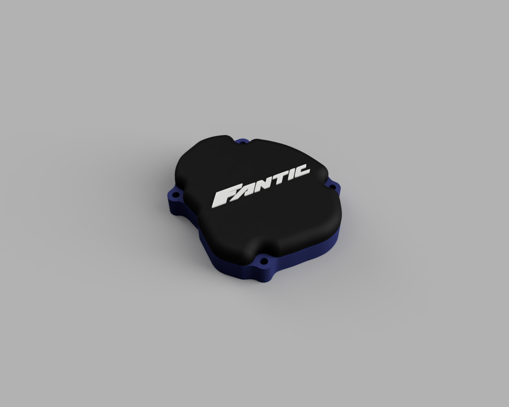 Carter accensione XE125